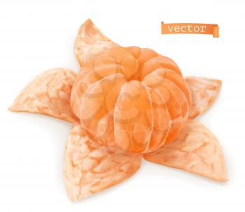 Mandarin orange. 3d realistic vector icon