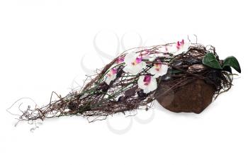 abstract composition from coconut, orchid, rocks and vines isolated on white background