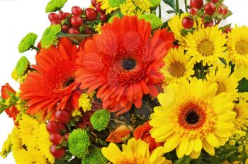 Colorful bouquet from gerbera flowers isolated on white background. Closeup.