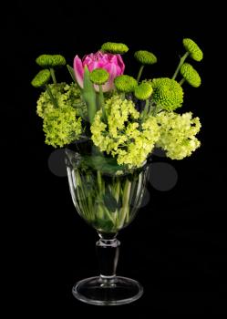 Beautiful bouquet of green chrysanthemums, tulip and viburnum flowers in glass vase on black background. 