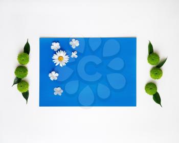 Blue paper with decoration of chrysanthemum flowers and ficus leaves on white background. Overhead view. Flat lay.