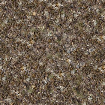 Seamless Texture of Rocky Soil Covered with Withered Dry Grass, Leaves and Shells. Big Size.