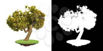 Green Tree wit Red Leaves on Green Grass Isolated on White Background with Detail Raster Mask.