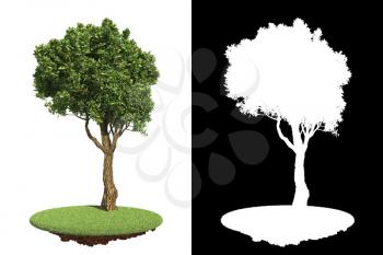 Isolated Green Tree with Asymmetric Crown on Green Grass with Detail Raster Mask.