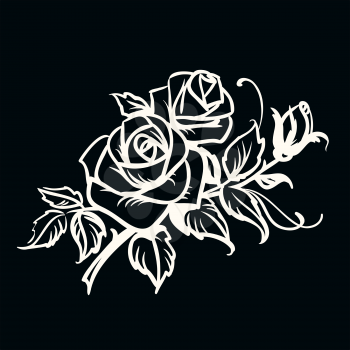 Roses. White outline drawing on black background 