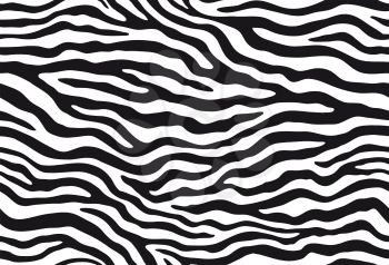 Zebra stripes seamless pattern. Tiger stripes skin print design. Wild animal hide artwork background. Black and white vector illustration.