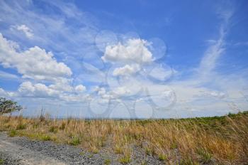 Beautiful mouintain view with tall grass and bright blue sky with puffy clouds