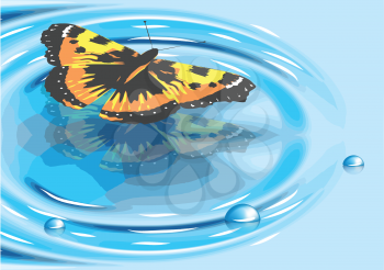 butterfly landing on blue water. 10 EPS