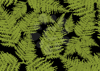 fern seamless texture on back background