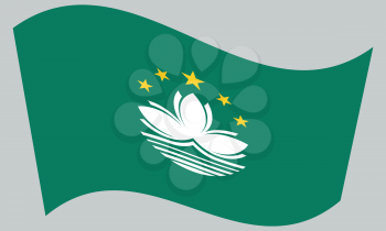 Macanese official flag. Patriotic chinese symbol, banner, element, background. Macau is special region of PRC. Correct colors. Flag of Macau waving on gray background, vector