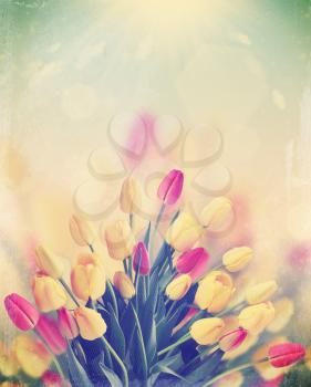 a large bouquet of tulips on the background of the sunny sky,vintage