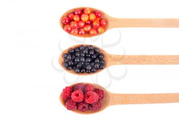 Elderberry, cranberry and raspberry in a wooden spoon on a white background.