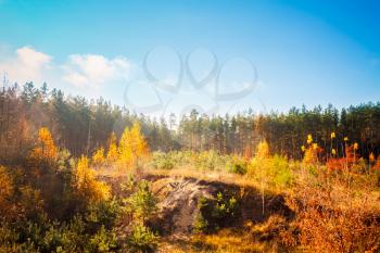 Autumn Landscape With Colorful Forest. Russian Nature