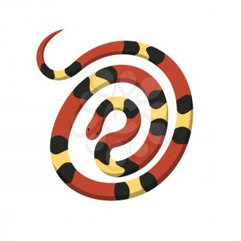 Rolled in spiral circle coral or milk snake top view icon. Creeping scarlet kingsnake flat vector isolated on white background. Crawling poisonous reptile illustration for wild nature concepts, zoo ad