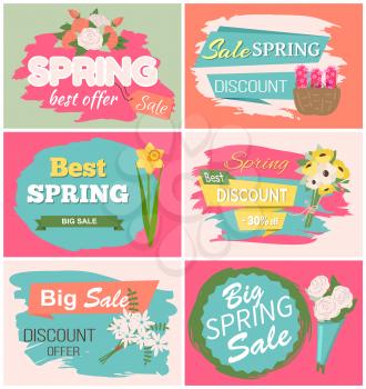 Spring sale, discount and best offer, label with rose, lilac and violet, daisy bouquet. Advertisement decorated by flowers, greeting for ladies vector. Early spring and summer flower for wedding