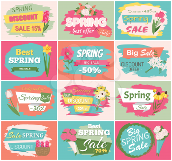 Spring sale, discount and best offer, label with rose, lilac and violet, daisy bouquet. Advertisement decorated by flowers, greeting for ladies vector. Early spring and summer flower for wedding