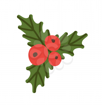 Misletoe red berries and green leaves colorful icon isolated on white. Vector illustration with fresh foliage and three round different sized fruits