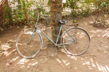 Abandoned bike near a tree, south Vietnam