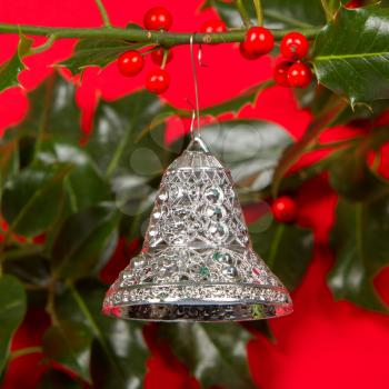 Old silver bells hanging in Butcher's broom, isolated