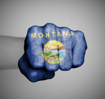 United states, fist with the flag of a state, Montana