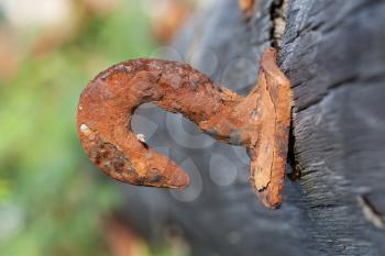 Rusted steel hook on a wooden pole