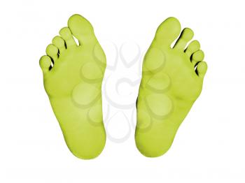 Feet isolated on a white background, yellow feet