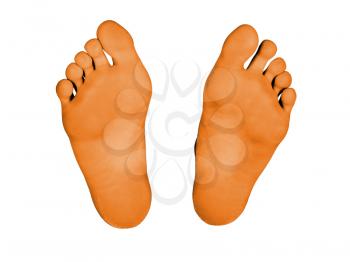Feet isolated on a white background, orange feet