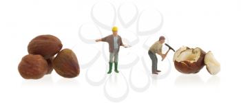 Miniature worker working with hazelnuts - Concept of food processing