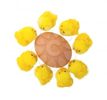 Easter chicks surrounding a large egg, isolated