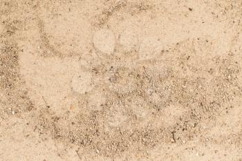 Sand background, different grain sizes, sand from the Netherlands