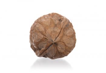Walnut isolated on white background - With shadow
