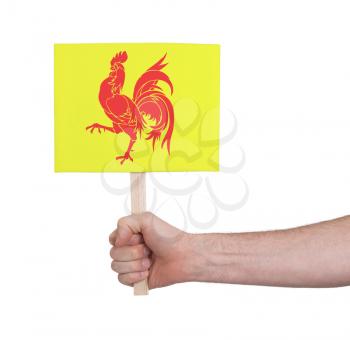 Hand holding small card, isolated on white - Flag of Wallonia