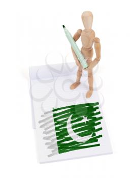 Wooden mannequin made a drawing of a flag - Pakistan