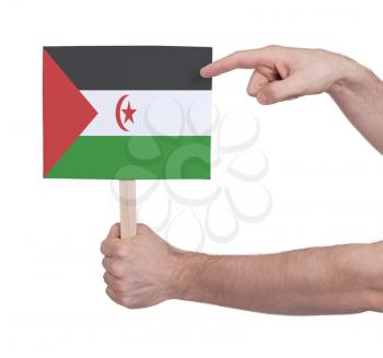 Hand holding small card, isolated on white - Flag of Western Sahara