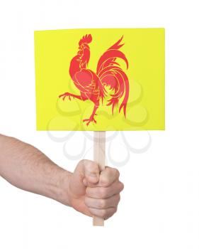 Hand holding small card, isolated on white - Flag of Wallonia