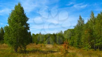 autumn landscape with field, forest and blue sky