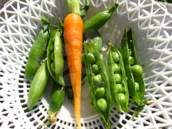 Fresh green pods of peas and carrot in a plate