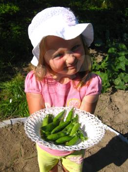 image of little girl propose fresh peas