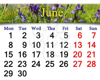 calendar for May of 2015 year on the background of blossoming iris