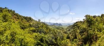 Panorama of Tropical rainforest in Thailand in a summer day