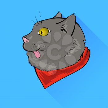Grey Cat with Yellow Eyes Isolated on Blue Background.