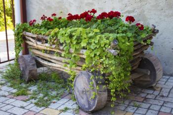 The cart with flowers.