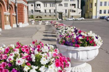 Town scenery with varicoloured flowers in sunny day