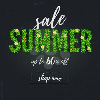 Summer sale. Handwriting text lettering. Scratched promo text written of chalk on blackboard. Inscription Summer from green plants, daisies and ladybugs. Banner for summer sales, discounts actions.