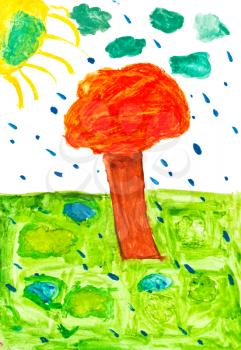 children drawing - orange tree under rain in country field