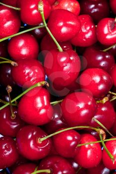 many fresh red sweet cherry closeup