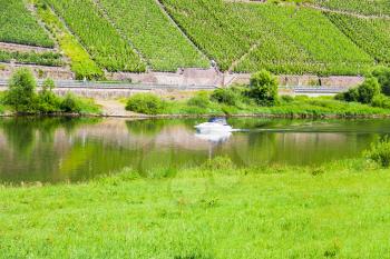 Moselle river and vineyard on slope of green mountain