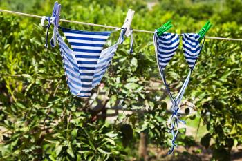 female swimsuit dries in green garden