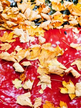 Fallen autumn leaves on red car hood