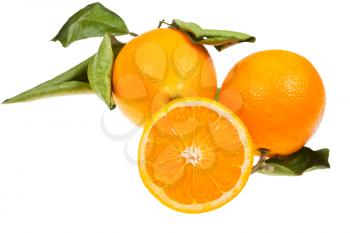 three oranges with green leaves isolated on white background